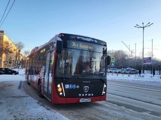 У семи пермских автобусов и одного трамвая с февраля изменится расписание