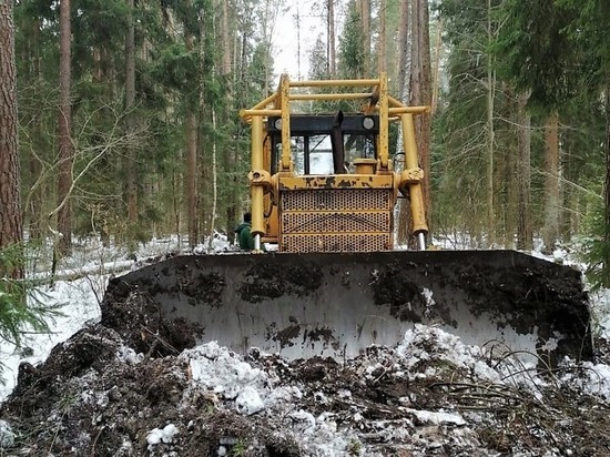 Свыше 100 км просек прочищено в лесах Подмосковья за 2 недели