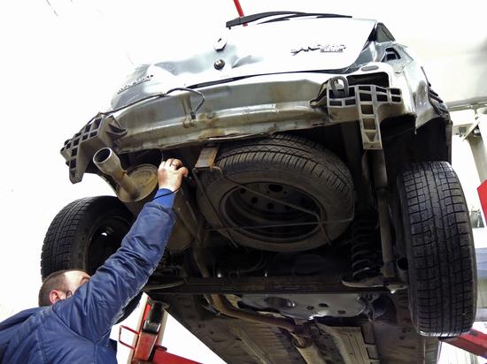  Дикий рынок