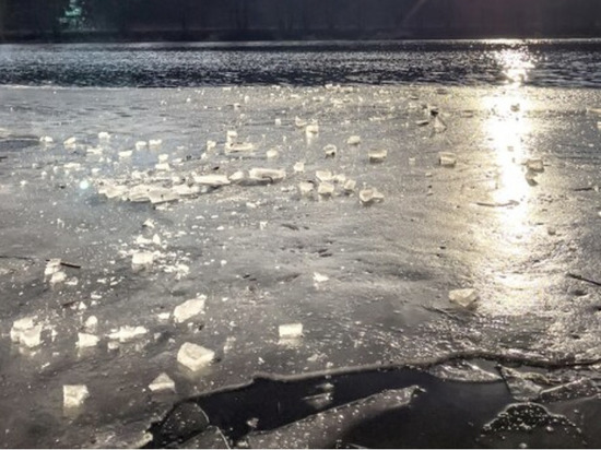 В Липецкой области водолазы достали провалившуюся под лёд иномарку