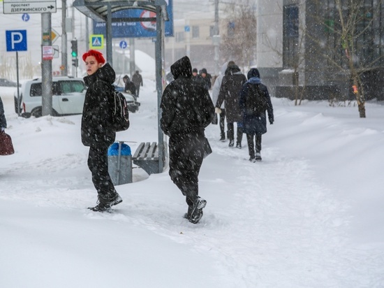 В Новосибирске 1 февраля похолодает до -14 градусов