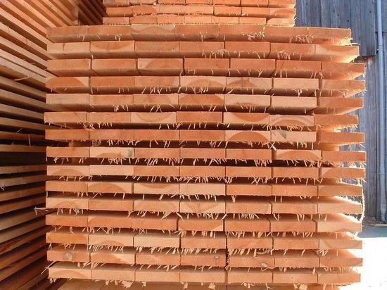 Мужчина заплатит 19 млн рублей за контрабанду древесины в Забайкалье