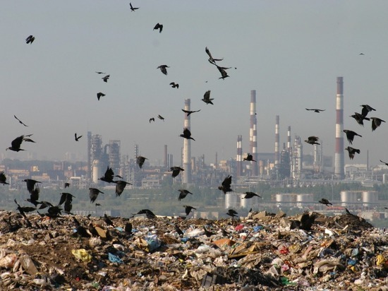 Экологи: «С приходом в Башкирию московской компании может вырасти плата за вывоз мусора»