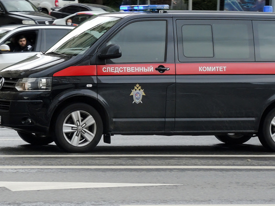 В Москве задержаны двое подозреваемых в двойном убийстве и поджоге