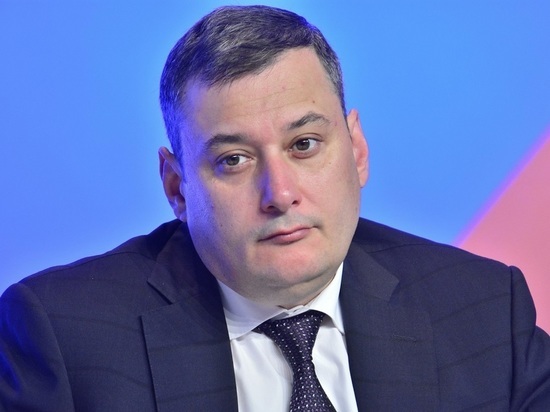 Хинштейн назвал причину задержания главы Счетной палаты Самарской области
