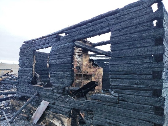 В деревне Овсяники Кировской области в огне погибли мать с сыном