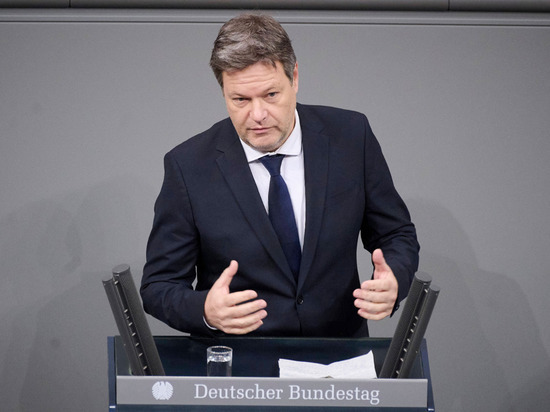 Вице-канцлер ФРГ Хабек выступил против поставок немецких истребителей Украине
