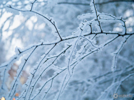 Морозная безветренная погода ожидает кузбассовцев в начале февраля