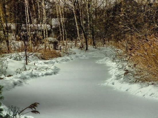 В Дмитрове сбрасывают неочищенные сточные воды в ручей и затапливают водоохранную зону