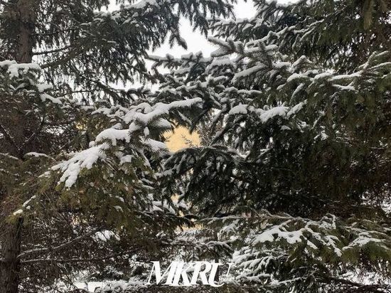 Морозы до -41 градуса ожидают ночью 2 февраля в Забайкалье