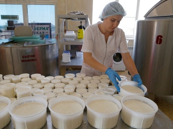 В сырной столице России энергетики увеличили мощность сыроварни в Волгореченске