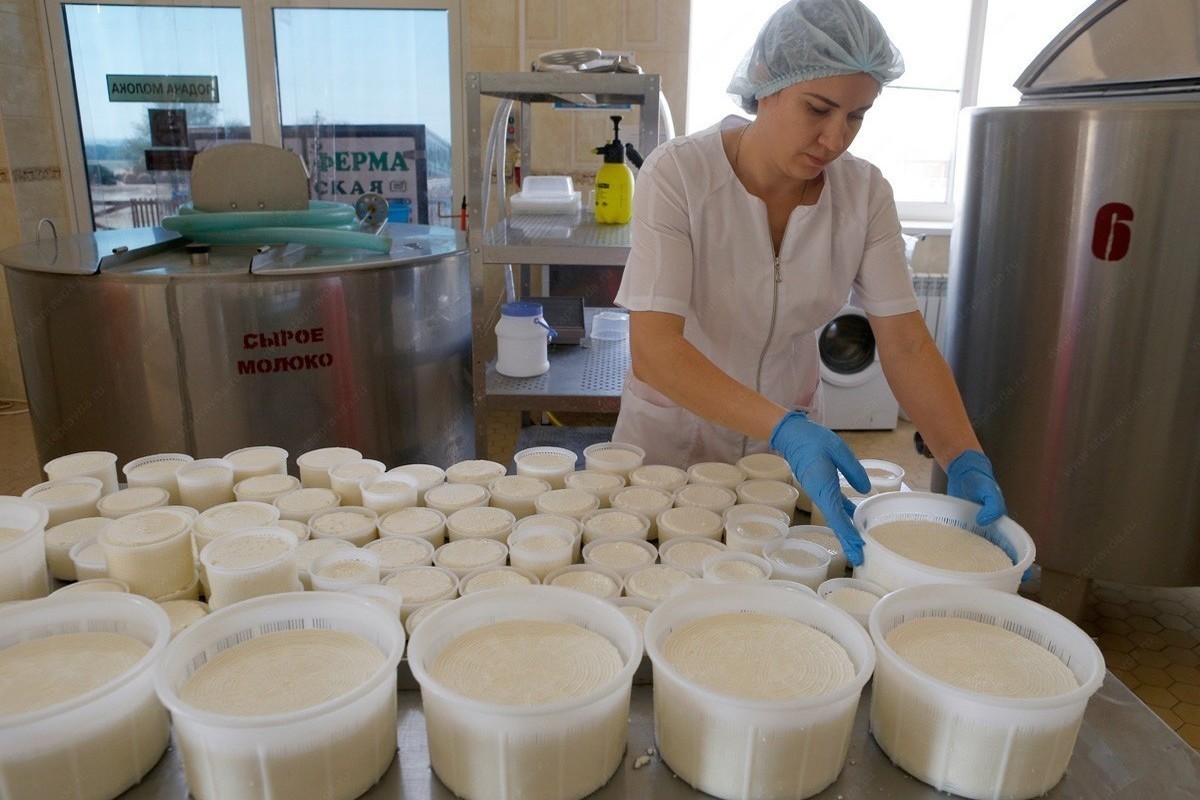 В сырной столице России энергетики увеличили мощность сыроварни в Волгореченске