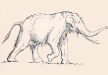 Находка доисторических останков показывает, как жившие на территории нынешней Германии неандертальцы охотились на огромных слонов