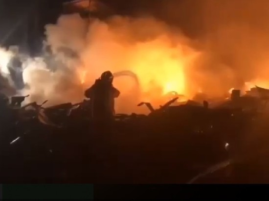 Число погибших при пожаре под Севастополем выросло до восьми