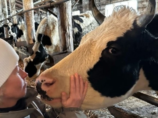 Состояние коров, живших по колено в эскрементах, проверила вице-премьер Удмуртии Ольга Абрамова