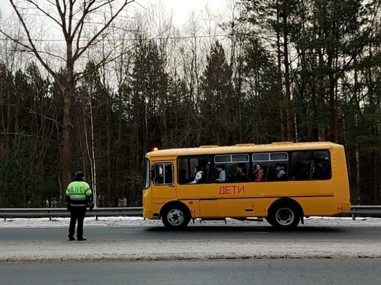 3 нарушения выявили полицейские при проверке автобусов для перевозки детей и взрослых