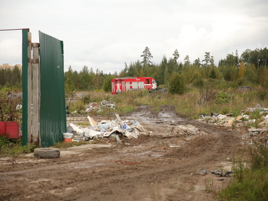 По требованию Минприроды Калининградской области ликвидировали свалку отходов