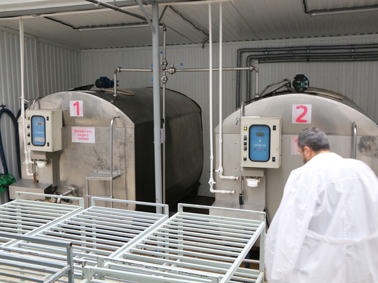 В Дагестане падает производство молочной продукции