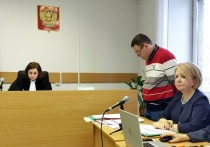 Высказывания «яблочницы» Слабуновой на официальном заседании парламентского комитета посчитали нарушающими закон