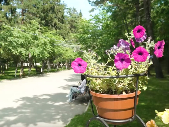 Более 1 млн цветов высадят в Южно-Сахалинске весной 2023 года