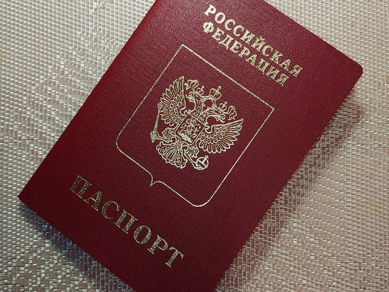 В СПЧ предложили ввести новое основание для замены паспорта