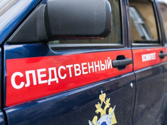 В Заводском районе собака покусала 11-летнего мальчика