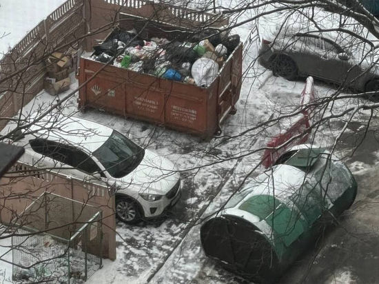 В Петербурге коммунальщики отомстили автомобилисту за парковку на мусорной площадке