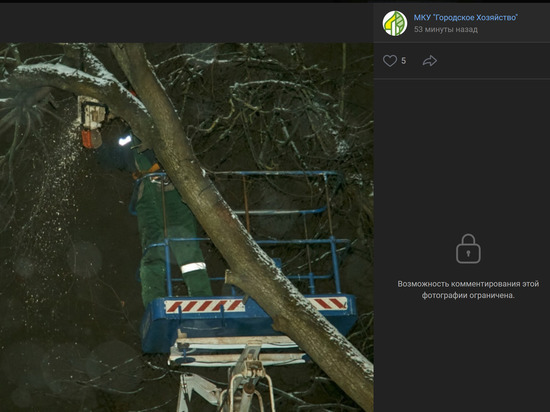 В Великом Новгороде на улице Розважа по ночам спиливают опасные ветки деревьев