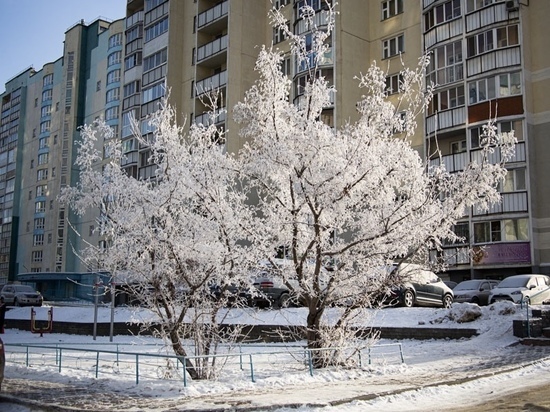 Туман и мороз до -14 градусов ожидаются в Новосибирске в субботу, 4 февраля