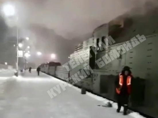 Курян поразил прибывший на железнодорожный вокзал Курска «диковинный зверь»