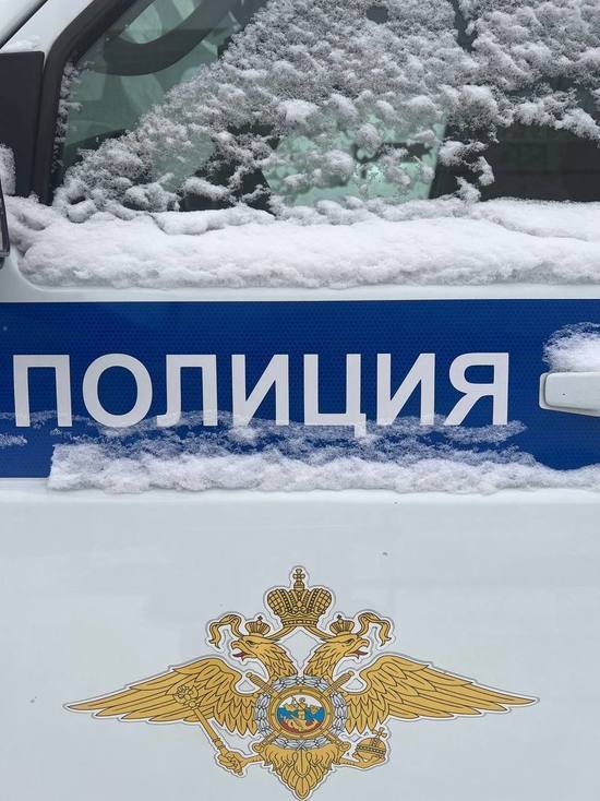 В выходные дорожные полицейские Красноярска будут дежурить у спортивных комплексов
