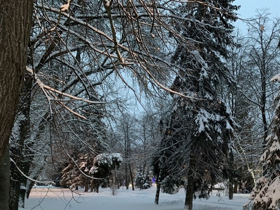 В Липецке 5 февраля прогнозируют небольшой снег и -2