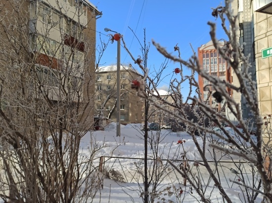 В Томске 5 февраля потеплеет до - 8 градусов