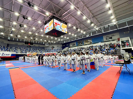 В Туле более 700 спортсменов борются за медали Всероссийских соревнований по всестилевому карате