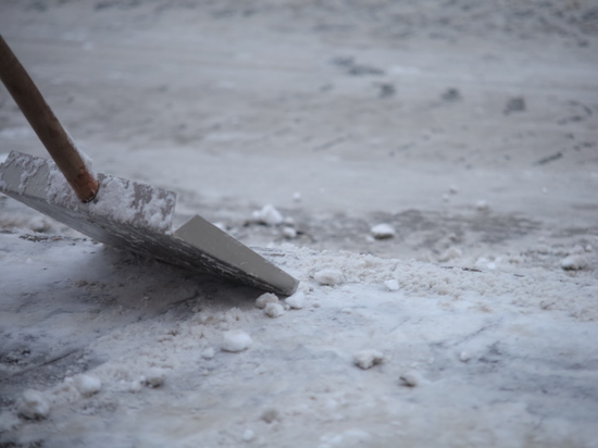 Чистить дворы от снега мурманским пенсионерам помогут участники «Кольского десанта»