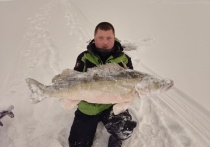 Петербургский рыбак Станислав Перхутко поделился в социальной сети «ВКонтакте» личным рекордом — мужчине удалось поймать метрового судака.