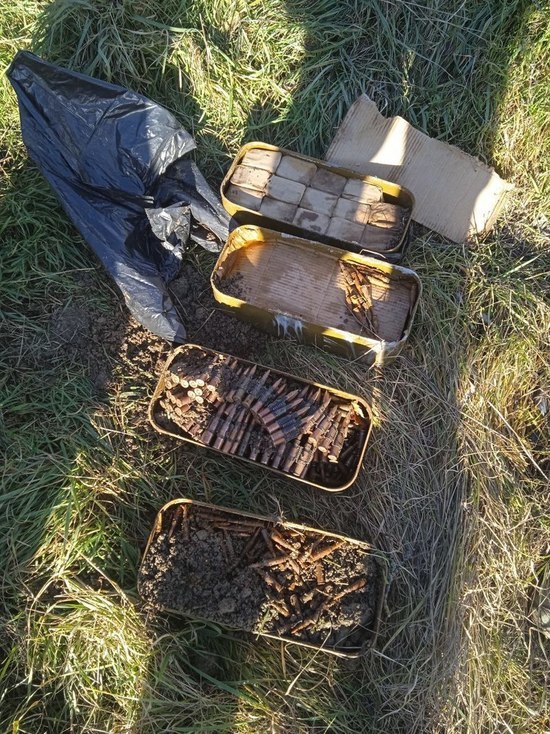 Схрон с боеприпасами найден в зоопарке в Херсонской области