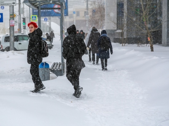 Волна снегопадов и мощный ветер придут в Новосибирск на предстоящей неделе