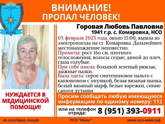 В Новосибирске объявили в розыск пропавшую с электрички пенсионерку