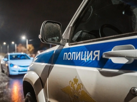 В Тверской области подозрительные мужчины с санями оказались преступниками