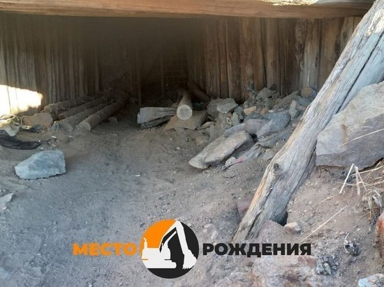 Гурулев – о голодовке в Вершино-Дарасунском: «Бунт незаконных копателей»