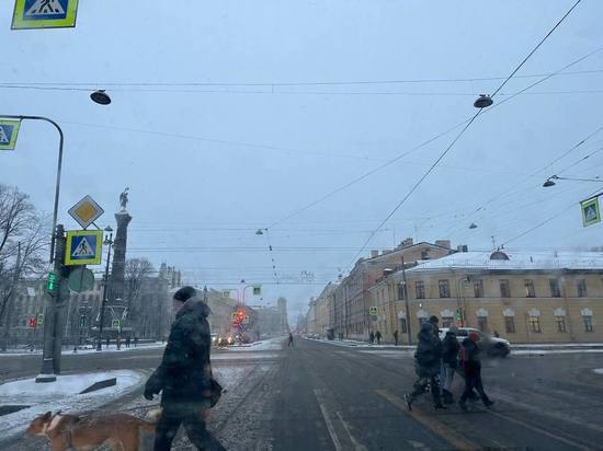 Оттепель подпортит настроение петербуржцам в первый рабочий день новой недели