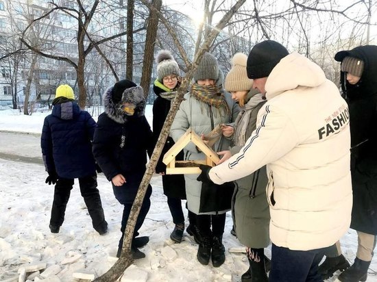 Хабаровские школьники развесили кормушки для зимующих птиц