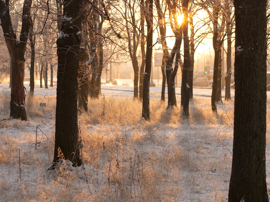 В Калининградской области ожидаются ночные заморозки
