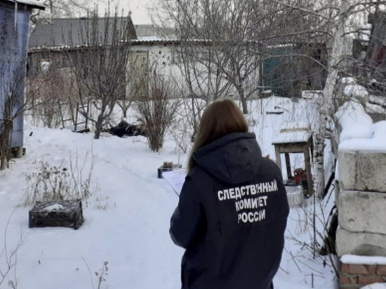 В Калининске на крыльце своего дома обнаружили замерзшего мужчину