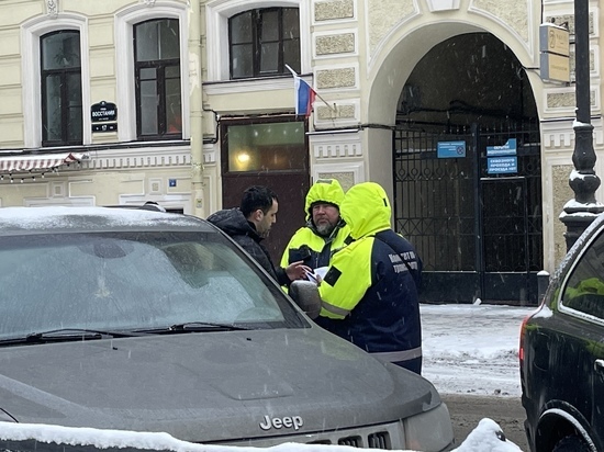 Петербуржцы поддержали борьбу властей с «закрывальщиками» в зоне платной парковки