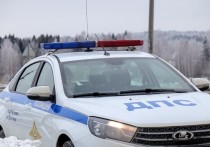 В Омской области полицейские спасли заблудившихся и замерзавших в лесу автоугонщиков, которые незадолго до этого угнали чужую машину