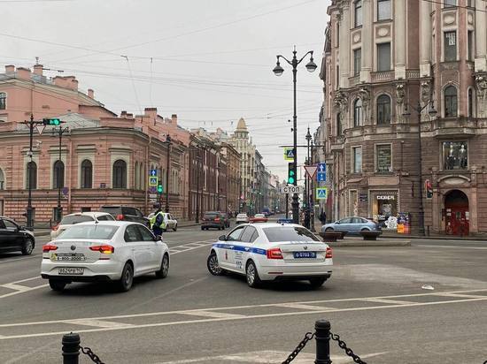 Почти на 8 % за год сократилась иностранная преступность в Петербурге и Ленобласти