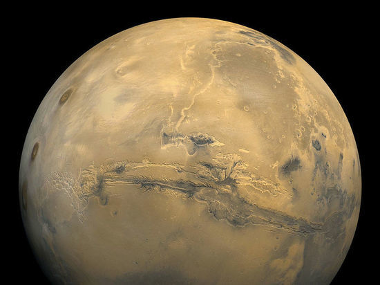 Американские инженеры предложили выращивать на Марсе дома из грибов