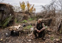 Потери украинской армии с начала специальной военной операции были озвучены иностранными специалистами